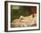 Reclining Nude, 1858-Gustave Courbet-Framed Giclee Print