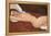 Reclining Nude, 1917-Amedeo Modigliani-Framed Premier Image Canvas