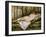 Reclining Nude from the Back, Rest after the Bath-Pierre-Auguste Renoir-Framed Art Print