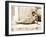 Reclining Nude Male, C. 1898-Wilhelm Von Gloeden-Framed Photographic Print