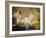 Reclining Nude (Miss O'Murphy)-Francois Boucher-Framed Giclee Print