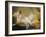 Reclining Nude (Miss O'Murphy)-Francois Boucher-Framed Giclee Print