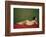 Reclining Nude on Red-Félix Vallotton-Framed Giclee Print