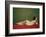 Reclining Nude on Red-Félix Vallotton-Framed Giclee Print