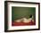 Reclining Nude on Red-Félix Vallotton-Framed Giclee Print