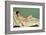 Reclining Nude on Yellow Cushion-Félix Vallotton-Framed Giclee Print