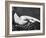 Reclining Nude: Rear View-null-Framed Photographic Print