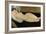 Reclining Nude-Amedeo Modigliani-Framed Giclee Print