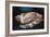 Reclining Woman, 1865-Gustave Courbet-Framed Giclee Print