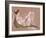 Reclining Woman-Arthur Bowen Davies-Framed Giclee Print