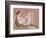 Reclining Woman-Arthur Bowen Davies-Framed Giclee Print