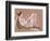 Reclining Woman-Arthur Bowen Davies-Framed Giclee Print