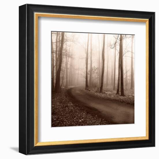 Recollection-Erin Clark-Framed Art Print