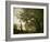 Recollections of Mortefontaine, 1864-Jean-Baptiste-Camille Corot-Framed Giclee Print