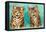 Reconciliation (W/C on Paper)-Louis Wain-Framed Premier Image Canvas