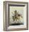 Reconnoitering-Alfred Jacob Miller-Framed Premium Giclee Print