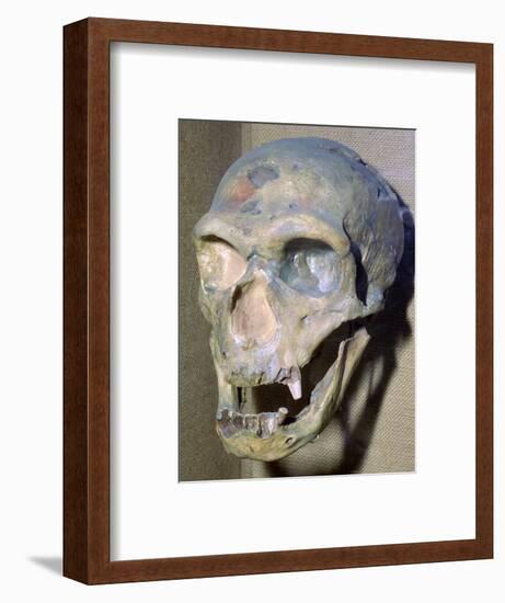 Reconstructed Neanderthal Man's skull, 49,000 BC. Artist: Unknown-Unknown-Framed Photographic Print