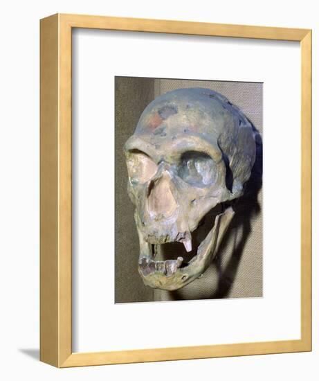 Reconstructed Neanderthal Man's skull, 49,000 BC. Artist: Unknown-Unknown-Framed Photographic Print