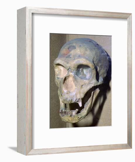 Reconstructed Neanderthal Man's skull, 49,000 BC. Artist: Unknown-Unknown-Framed Photographic Print