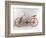 Reconstruction of Da Vinci's Design for a Bicycle-Leonardo da Vinci-Framed Giclee Print