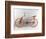 Reconstruction of Da Vinci's Design for a Bicycle-Leonardo da Vinci-Framed Giclee Print