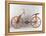 Reconstruction of Da Vinci's Design for a Bicycle-Leonardo da Vinci-Framed Premier Image Canvas