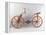 Reconstruction of Da Vinci's Design for a Bicycle-Leonardo da Vinci-Framed Premier Image Canvas