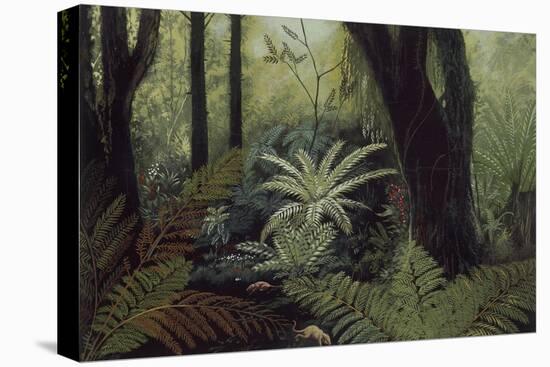 Stretched Canvas Print, , large