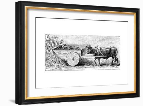 Reconstruction of Reaping Machine Used in Gaul in Ancient Roman Times, as Described by Pliny, C1890-null-Framed Giclee Print