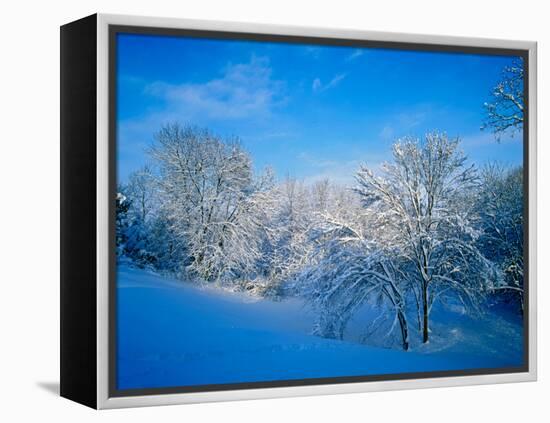 Record Snow in Louisville, Kentucky, USA-Adam Jones-Framed Premier Image Canvas