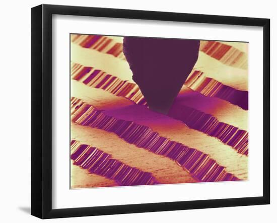 Record Stylus Playing Record, SEM-Susumu Nishinaga-Framed Photographic Print