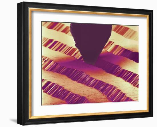 Record Stylus Playing Record, SEM-Susumu Nishinaga-Framed Photographic Print