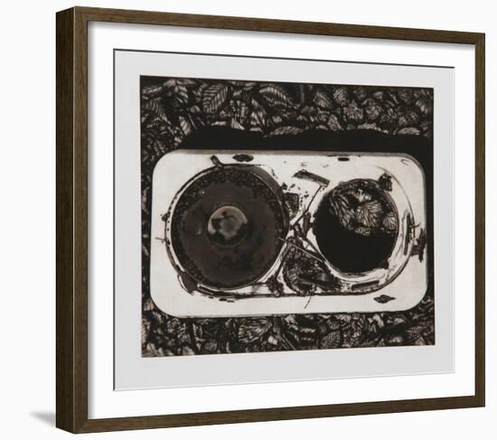 Record-Gerde Ebert-Framed Limited Edition