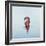 Recovery Room, Medinipur-Lincoln Seligman-Framed Giclee Print