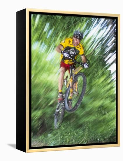 Recreational Mountain Biker Riding on the Trails-null-Framed Premier Image Canvas