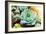 Rectangular Arrangement of Succulents; Cactus Succulents in a Planter-kenny001-Framed Photographic Print