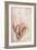 Recto Study of Drapery-Michelangelo Buonarroti-Framed Giclee Print