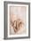 Recto Study of Drapery-Michelangelo Buonarroti-Framed Giclee Print