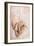 Recto Study of Drapery-Michelangelo Buonarroti-Framed Giclee Print