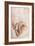 Recto Study of Drapery-Michelangelo Buonarroti-Framed Giclee Print