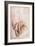 Recto Study of Drapery-Michelangelo Buonarroti-Framed Giclee Print