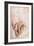 Recto Study of Drapery-Michelangelo Buonarroti-Framed Giclee Print