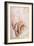 Recto Study of Drapery-Michelangelo Buonarroti-Framed Giclee Print