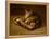 Recumbent Cat, 1898-Théophile Alexandre Steinlen-Framed Premier Image Canvas