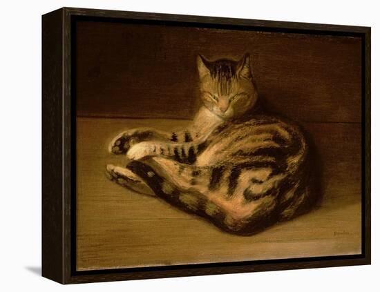 Recumbent Cat, 1898-Théophile Alexandre Steinlen-Framed Premier Image Canvas