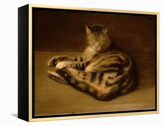 Recumbent Cat, 1898-Théophile Alexandre Steinlen-Framed Premier Image Canvas