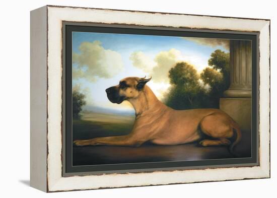 Recumbent Great Dane-Christine Merrill-Framed Stretched Canvas