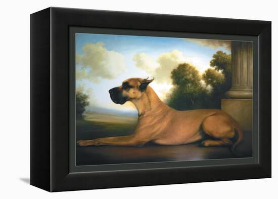 Recumbent Great Dane-Christine Merrill-Framed Stretched Canvas