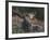 Recumbent Moose-Kevin Daniel-Framed Art Print