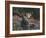 Recumbent Moose-Kevin Daniel-Framed Art Print